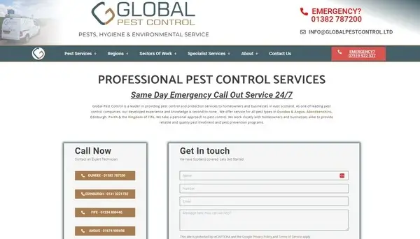 dundee pest control and wasps dundee